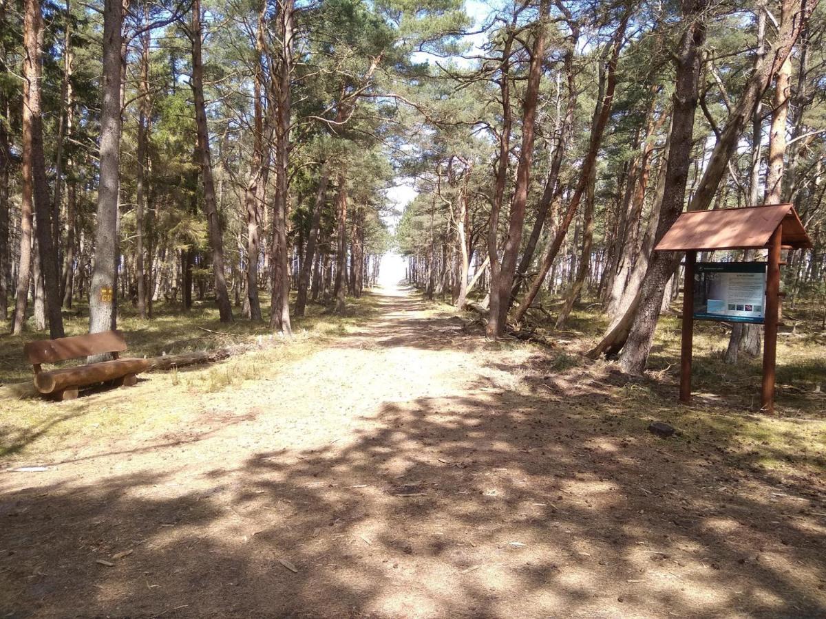 Agroturystyka Gawryś apartament Sasino Zewnętrze zdjęcie